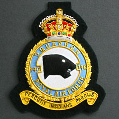 146 Squadron RAF wire blazer badge